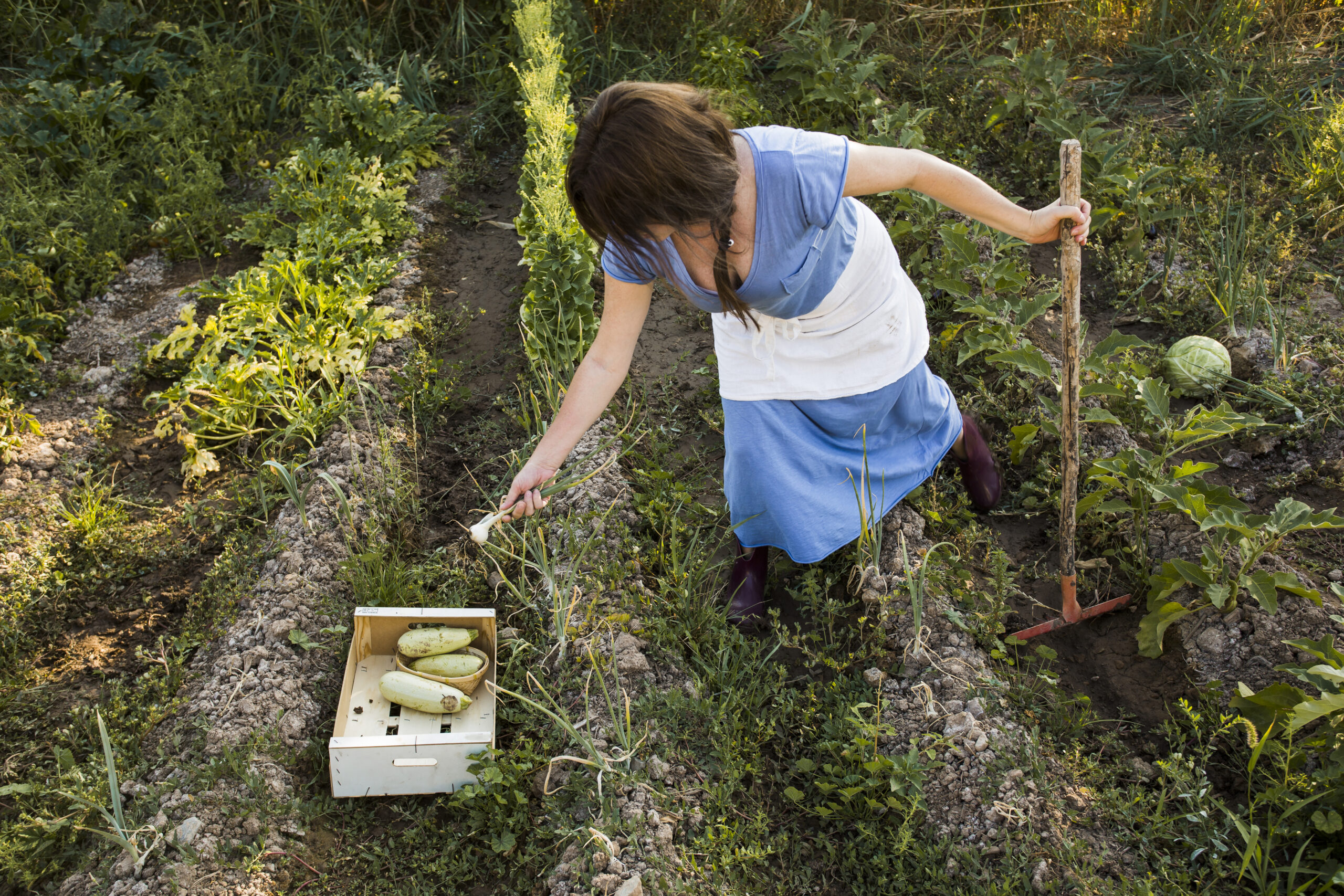 How to Grow and Hunt for Your Own Food: A Practical Guide to Self-Sufficiency
